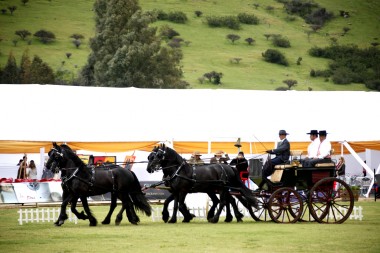 CARRUAJES1