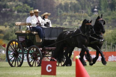 CARRUAJES2