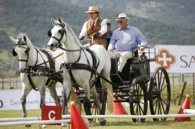CARRUAJES3