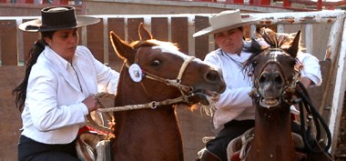 Femenino Rodeo