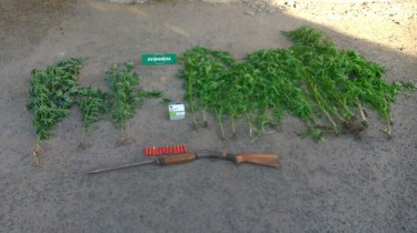 Los sujetos detenidos presuntamente comercializaban la droga en Pichidegua y Rancagua.