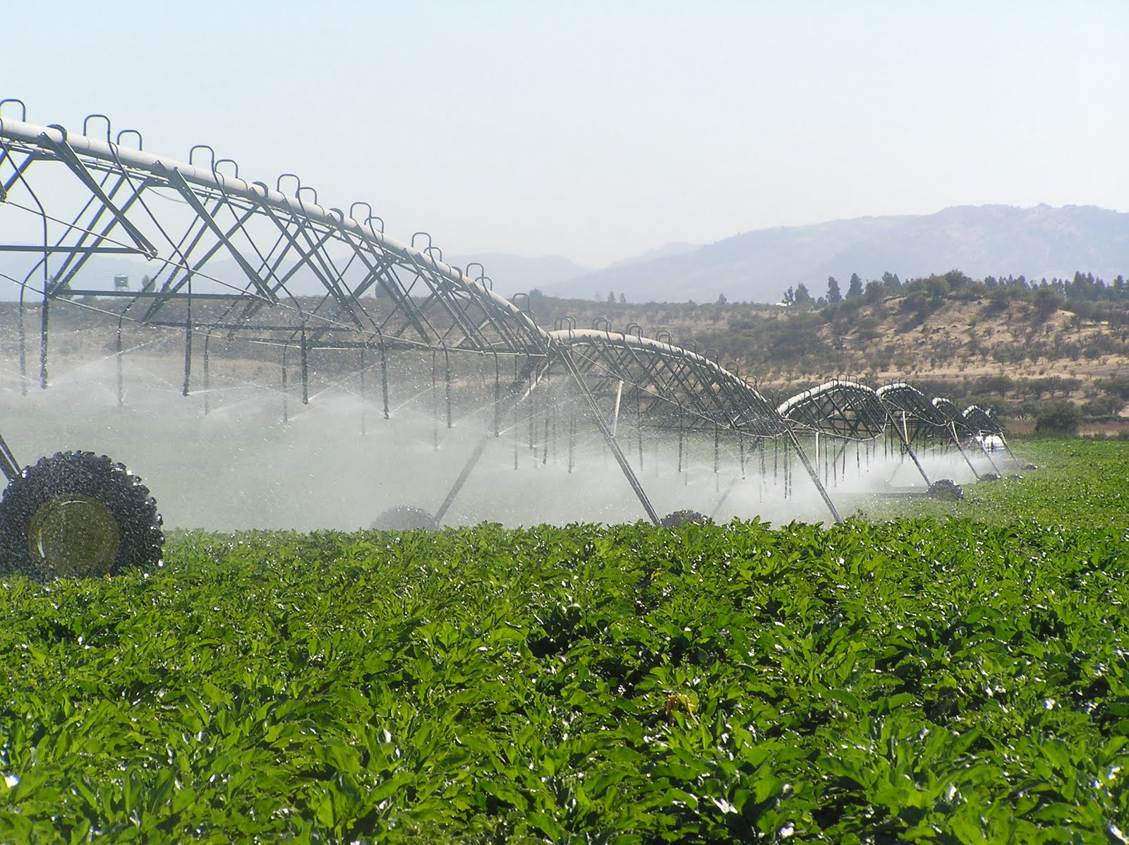 Los desafíos y la importancia del agua en la agricultura