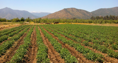 El parlamentario espera abrir más mercados a la producción agrícola en Chile.