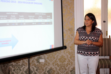 Alejandra Riquelme, directora regional de Onemi.