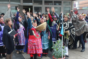 En la ocasión participaron 13 organizaciones mapuches existentes en la Región.