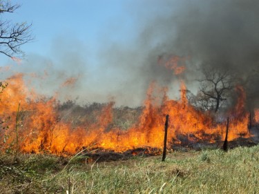 La Región de O´Higgins se mantiene en Alerta Amarilla –declarada el 25 de enero- por simultaneidad de incendios forestales.