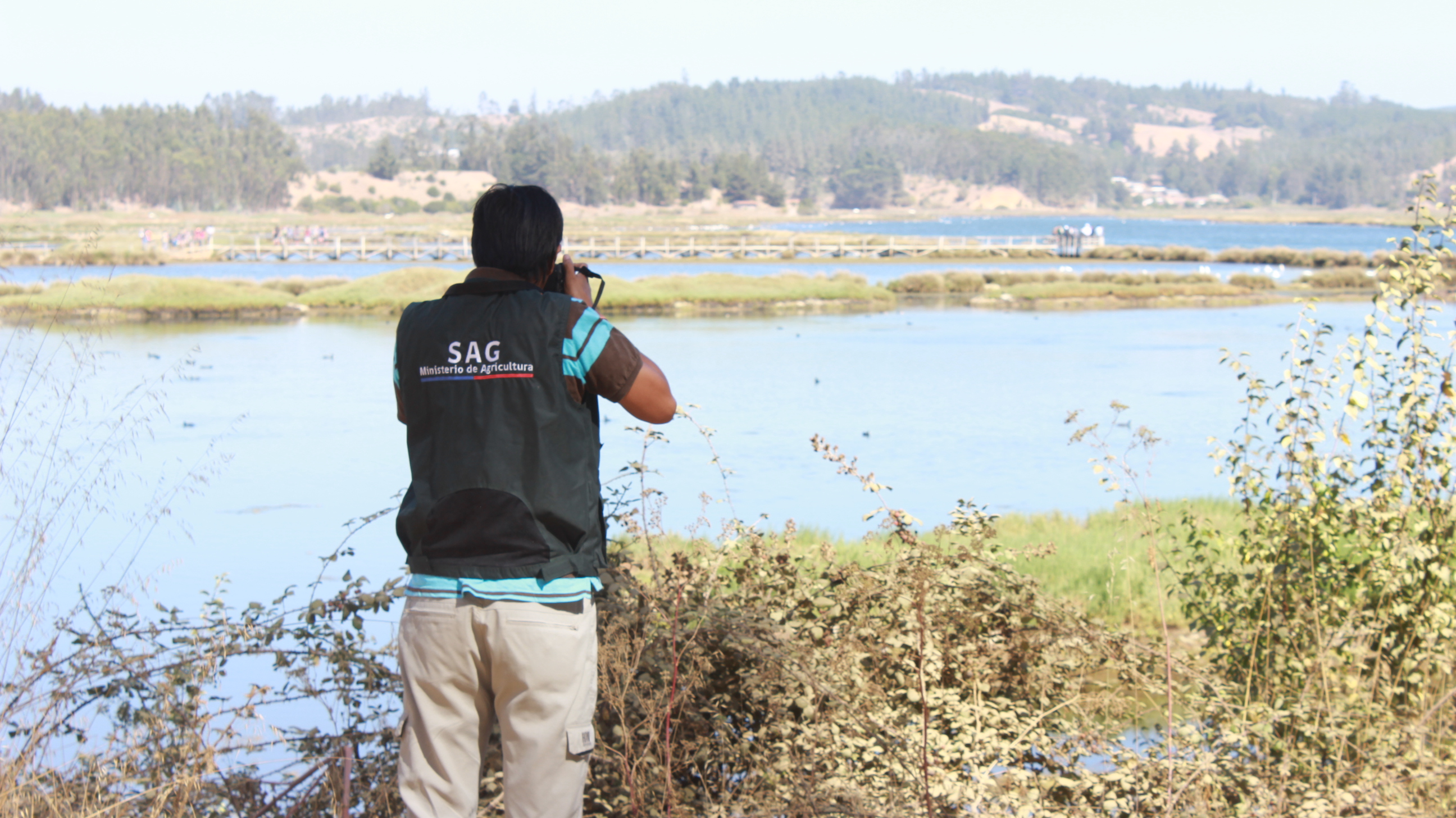 Autoridades celebran Día Mundial de los Humedales en el Estero Nilahue