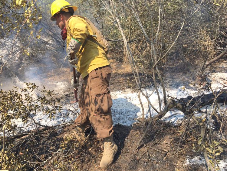 Conaf Se Refuerza Y Adopta Nuevas Estrategias Para Combatir Incendios