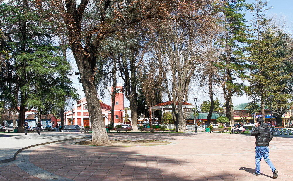 Graneros: Controversia en el concejo municipal por tala de árboles