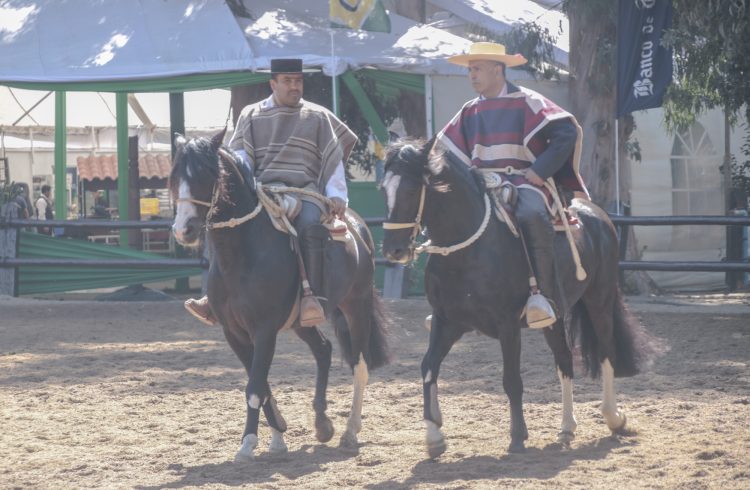 Las novedades que traerá la versión 70 del Campeonato Nacional de Rodeo