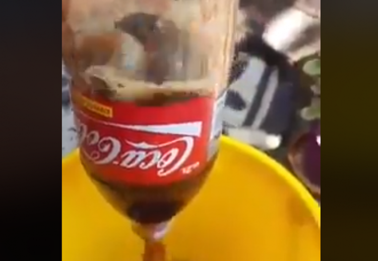 [Video viral] Asqueroso: Joven compró una botella de Coca Cola y ...