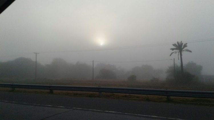 Sin lluvias pero con mucho frío comienza la tercera semana de julio en O'Higgins