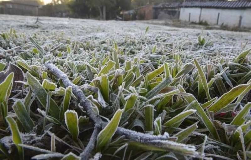 ALERTA AGRICULTORES: Heladas con hasta -3° se esperan para este jueves en O'Higgins