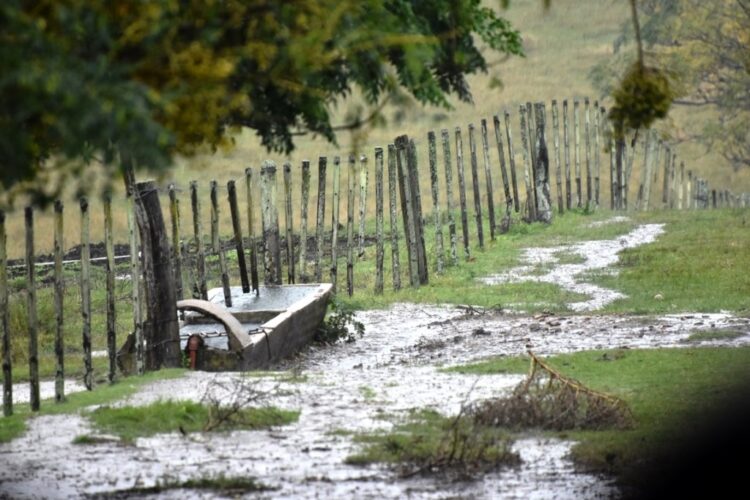 Alertan sobre tormenta eléctrica primaveral en O'Higgins