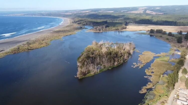 Petrel: La isla que Pichilemu quiso rescatar