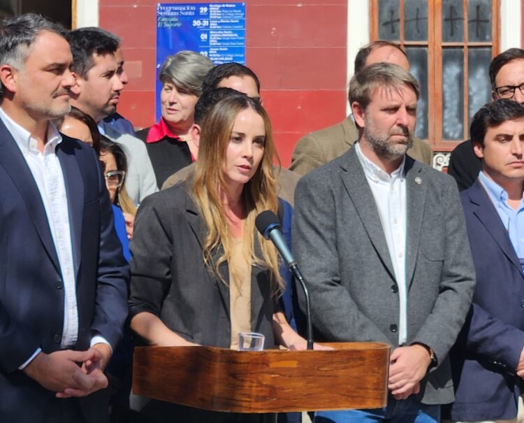 En su visita a Rancagua: Ministra Sedini se refiere al Plan de Reconstrucción Nacional