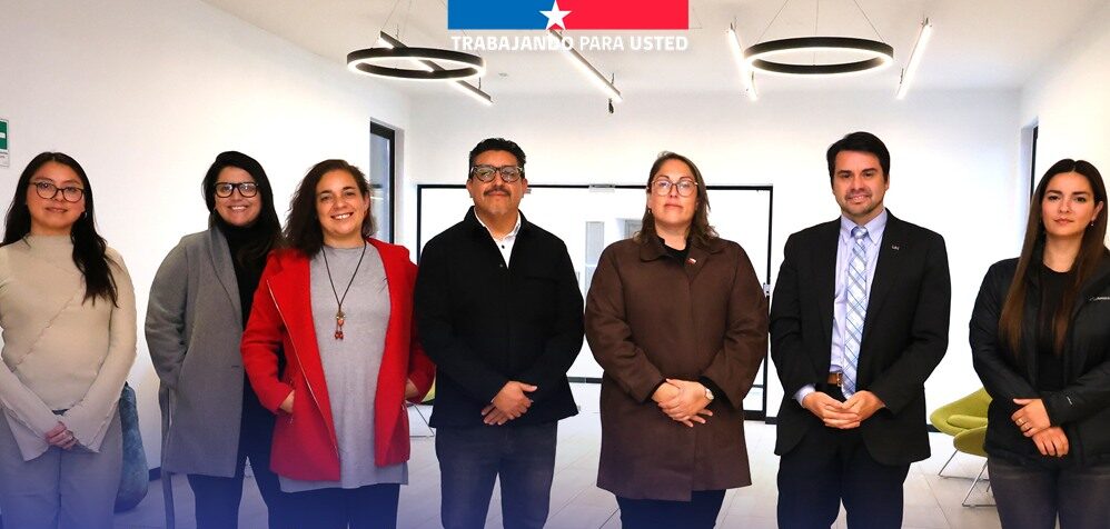 UOH y seremi de Culturas afinan nueva versión del Diplomado en Arte para la región