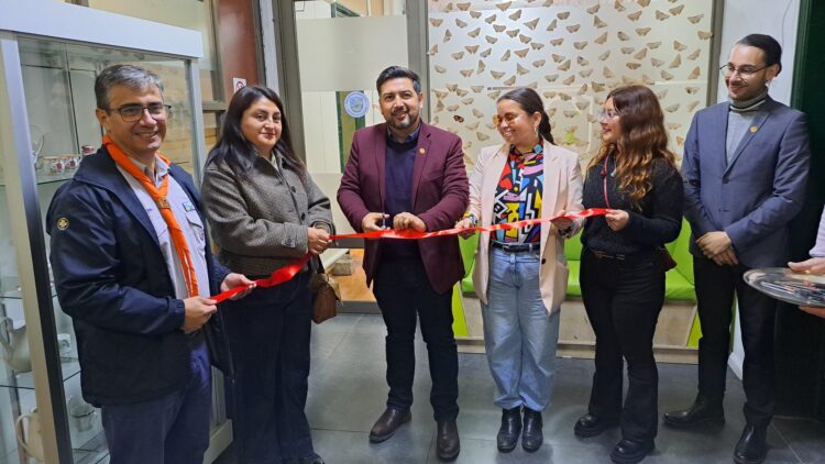 Graneros inaugura nueva sala de lectura infantil en biblioteca pública n°195