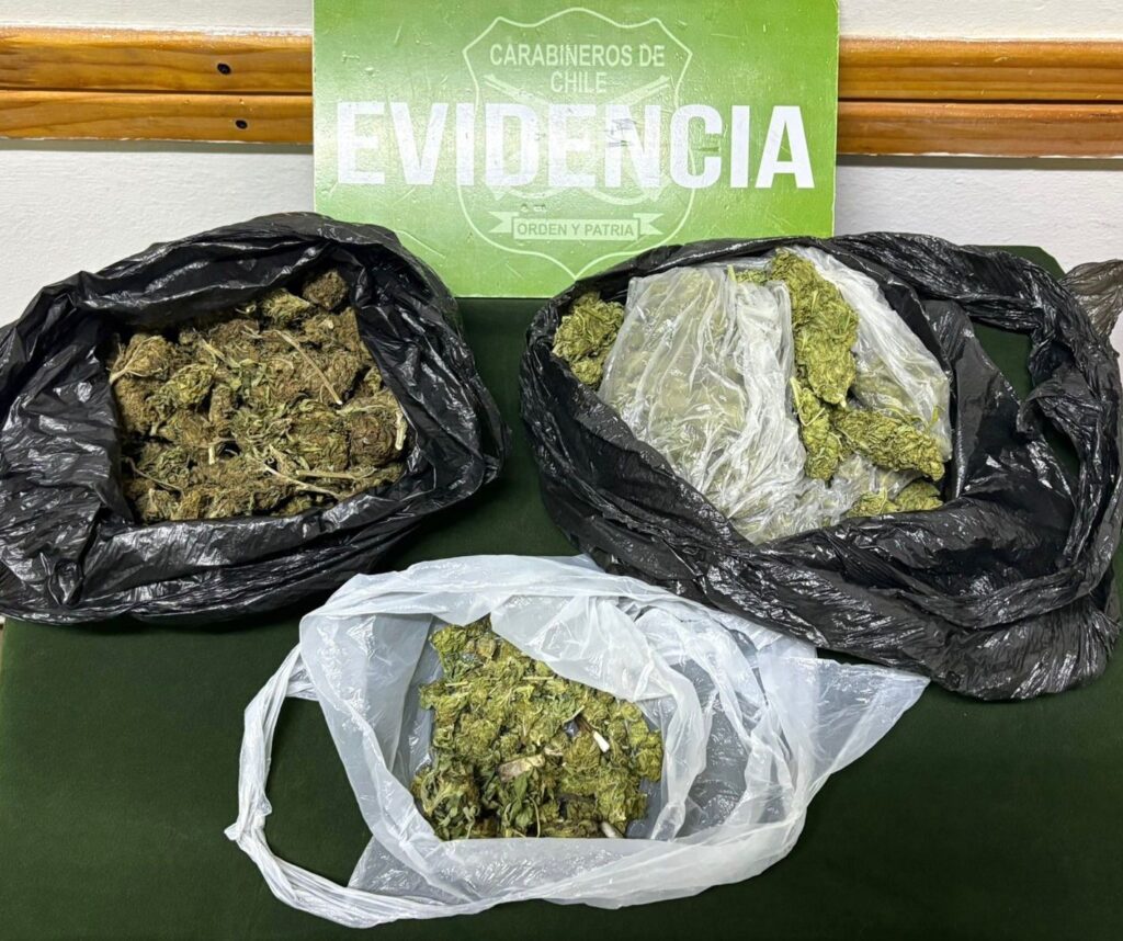 Mujer es detenida en San Vicente conduciendo vehículo robado y con droga en su interior