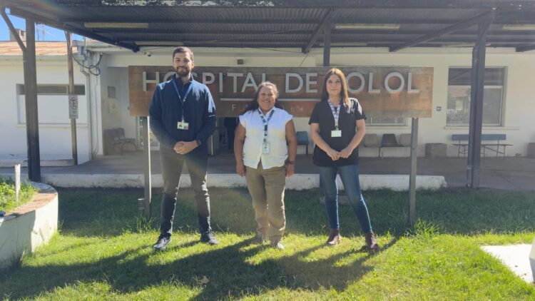 Hospital de Lolol impulsa huerto medicinal abierto a funcionarios y comunidad