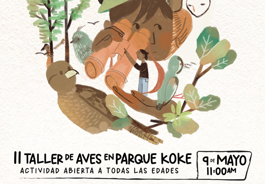 Nuevo taller de aves en Parque Koke: Actividades educativas y recorridos guiados
