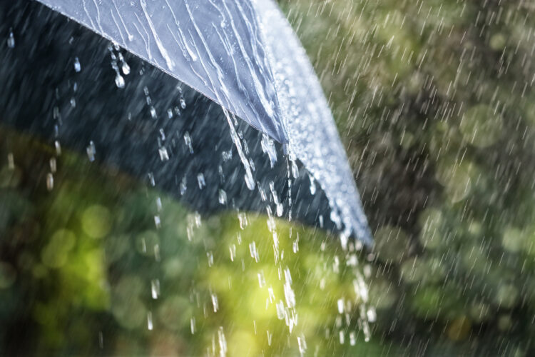 A sacar los paraguas: Informan probabilidad de lluvia desde el martes