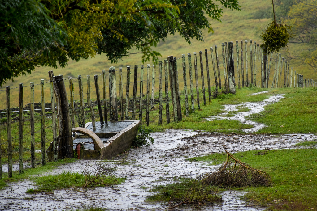 Balance de precipitaciones: Litueche lidera con agua caída y nieve cordillerana aumenta su altura