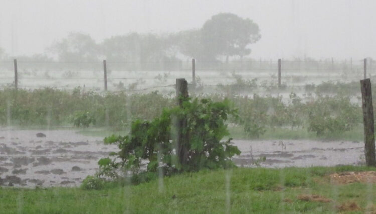 Sigue la lluvia en O’Higgins: Litoral y cordillera de la costa concentrarán mayor intensidad