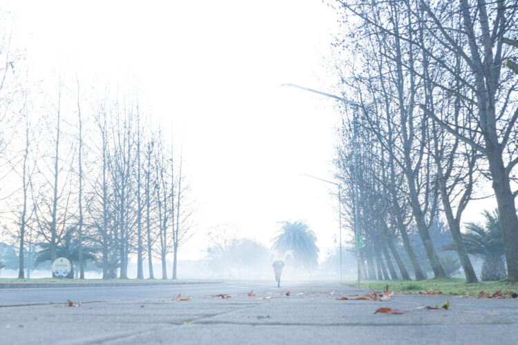 Vuelve la lluvia a la región: Alerta Temprana Preventiva por evento meteorológico