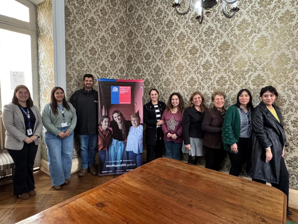 Maternidad y cuidados: O’Higgins constituye mesa regional de apoyo a las mujeres